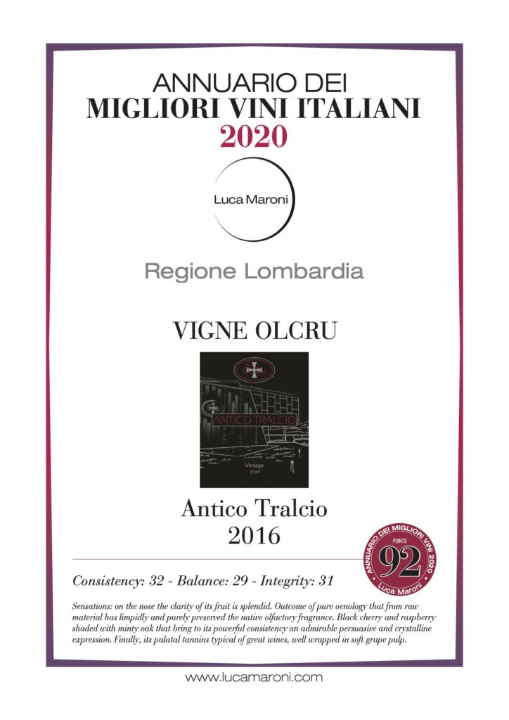 Luca Maroni 2020 - Antico Tralcio 2016 eng
