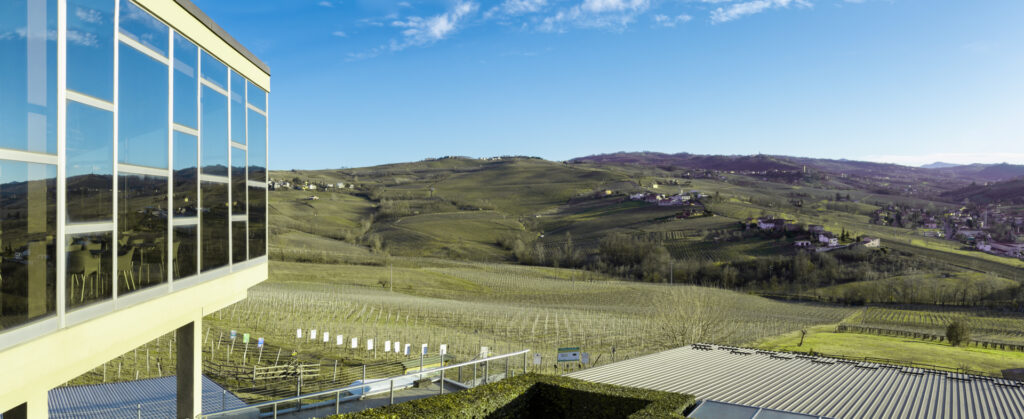 Vigne Olcru