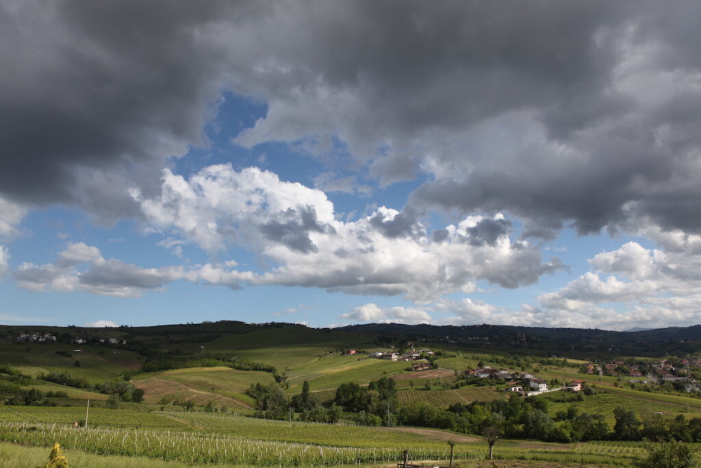 Vigne Olcru